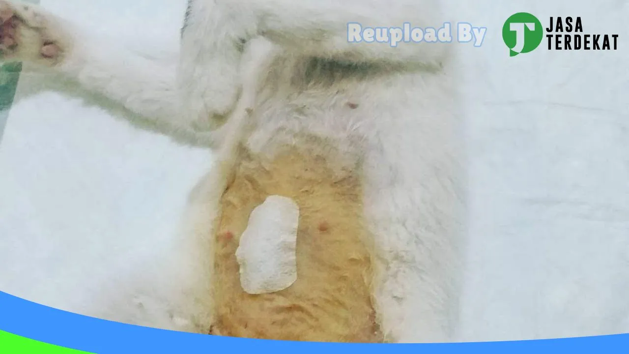 Gambar drh.Trino Yuniarta di Sumenep, Jawa Timur ke 5