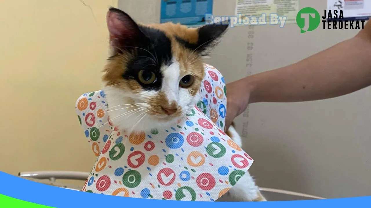 Gambar ANTARES SATWA CARE (Klinik Dokter Hewan, Grooming, Petshop, Pet Hotel Purwokerto) di Banyumas, Jawa Tengah ke 2