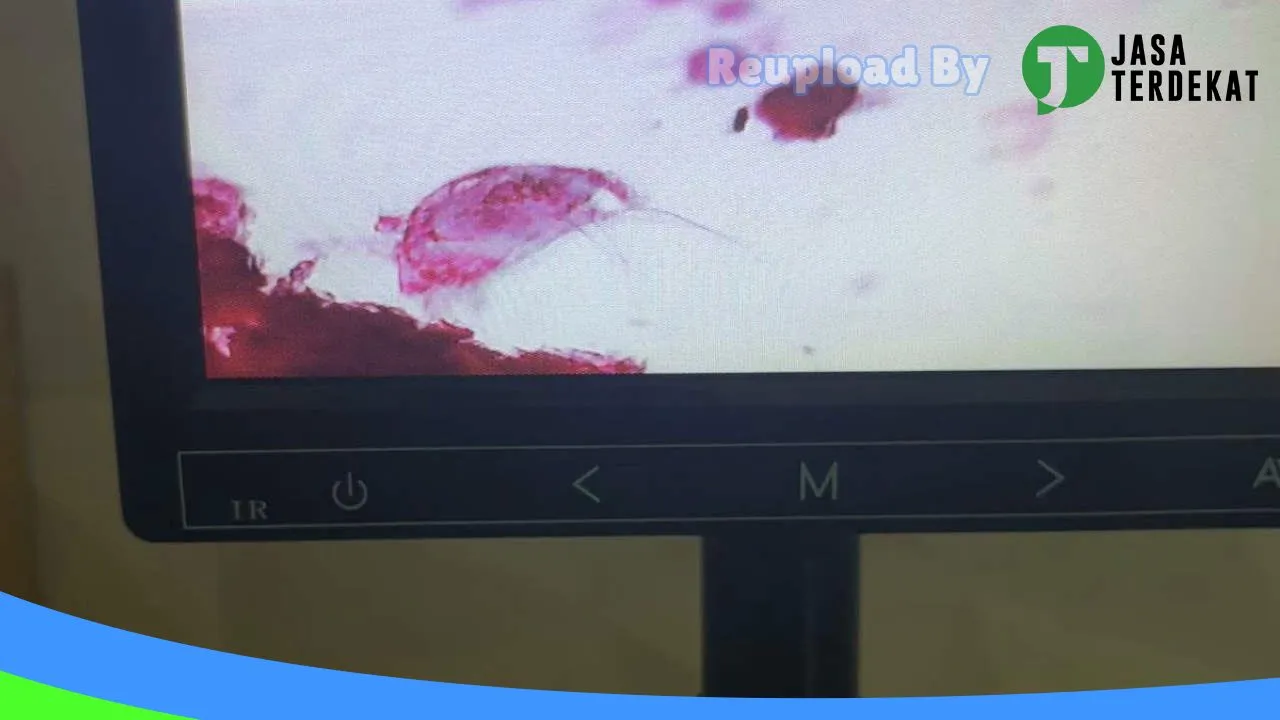 Gambar erby pet care & petshop (Praktek Dokter Hewan Drh. Erdina Pangestika) di Magetan, Jawa Timur ke 1