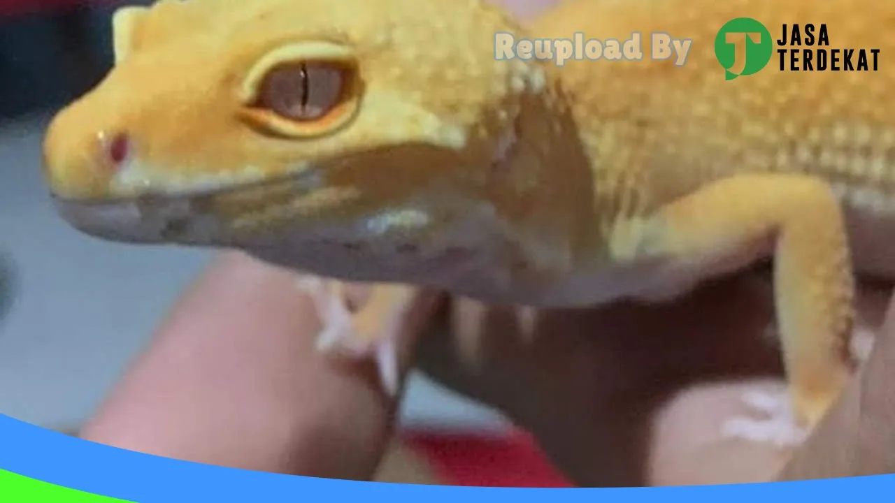 Gambar Ketonggo farm di Ngawi, Jawa Timur ke 1