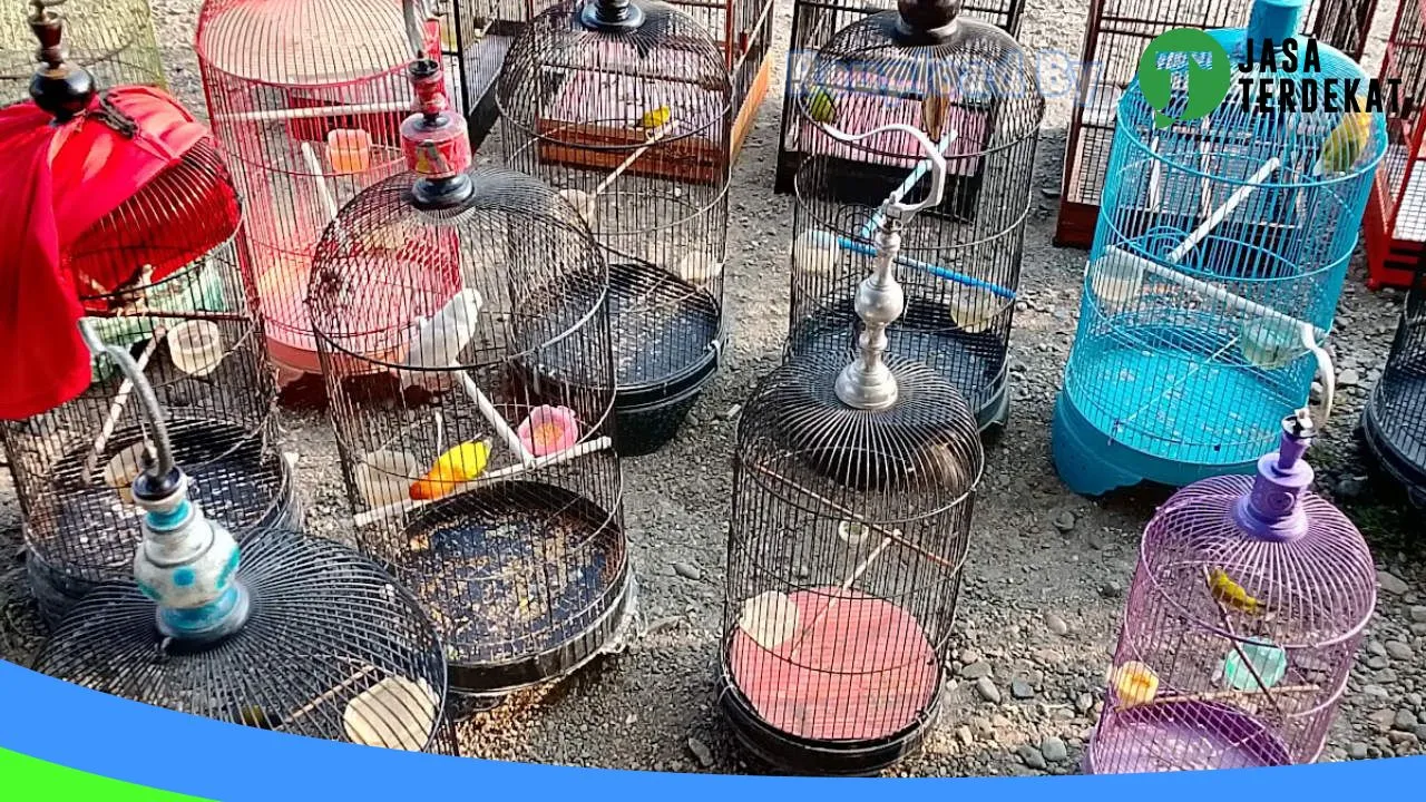 Gambar Kios Kicau Roni di Tanggamus, Lampung ke 3