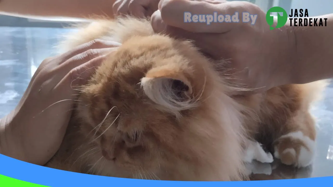 Gambar Tjoeroep Pet Care di Rejang Lebong, Bengkulu ke 5