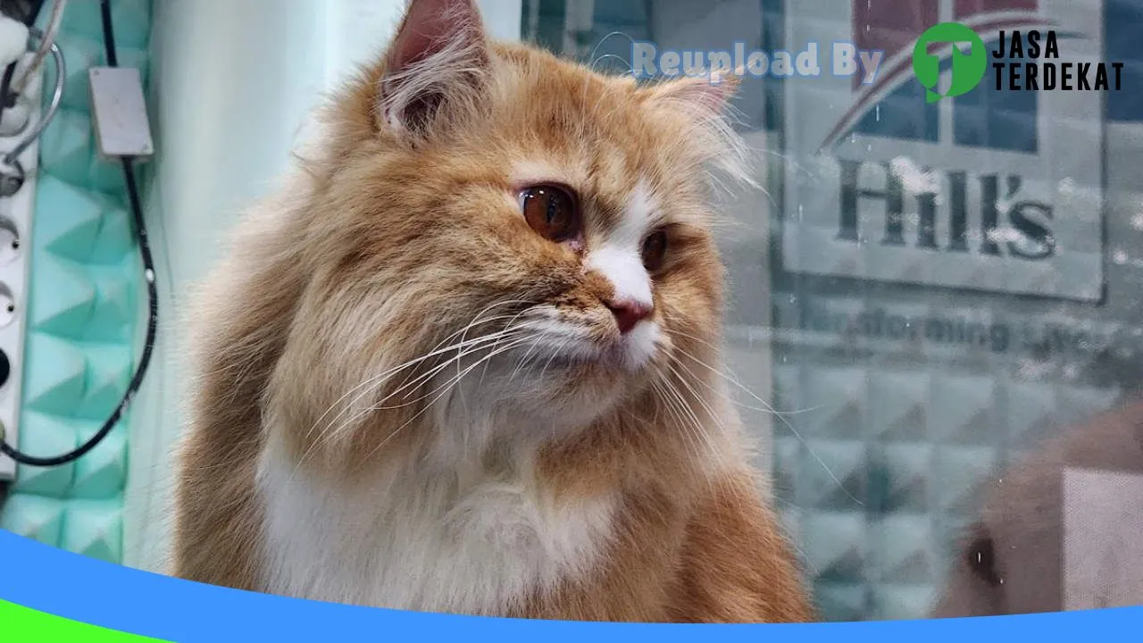 Gambar Healthy Pet Madiun di Kota Madiun, Jawa Timur ke 5