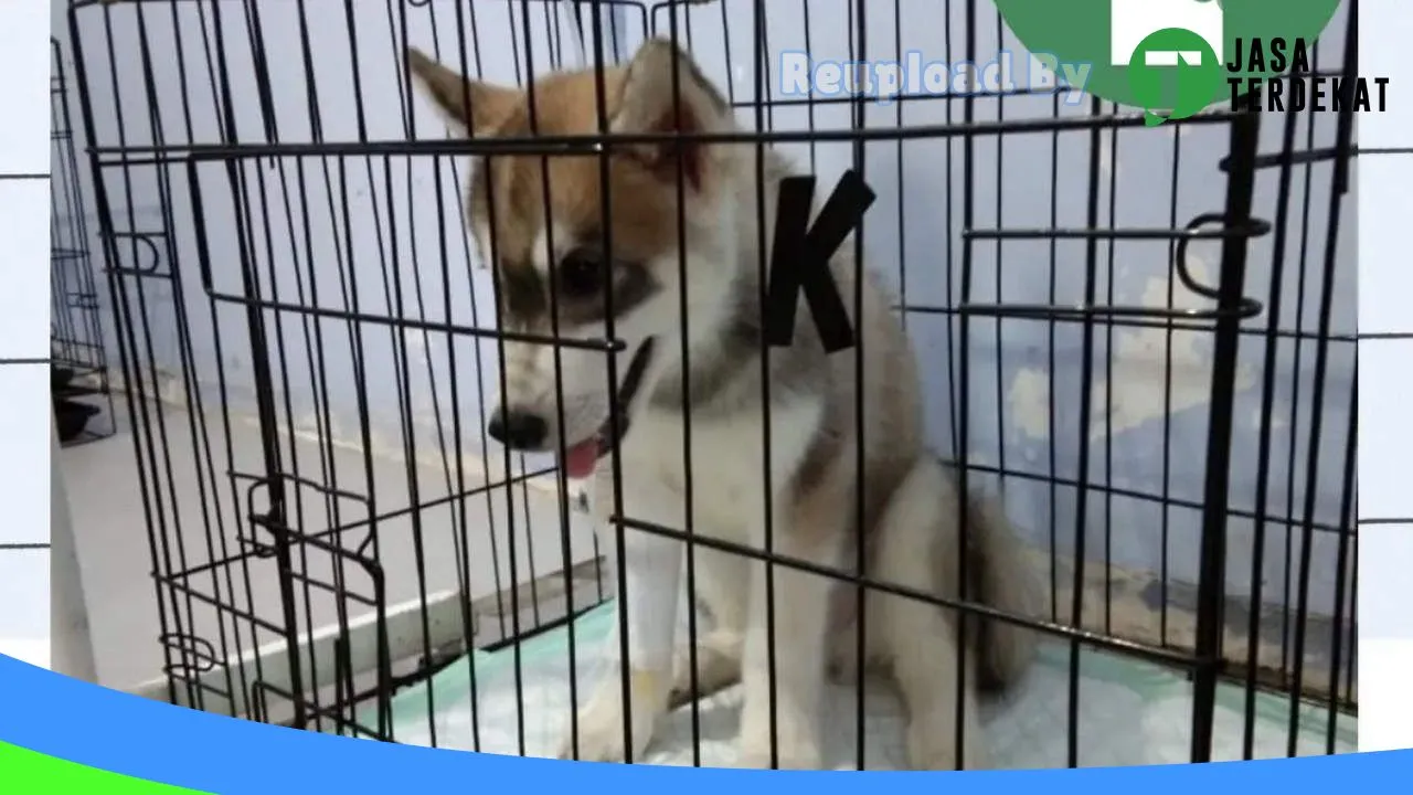 Gambar Praktik Dokter Hewan Labuan Bajo dan Petshop di Manggarai, Nusa Tenggara Timur ke 5