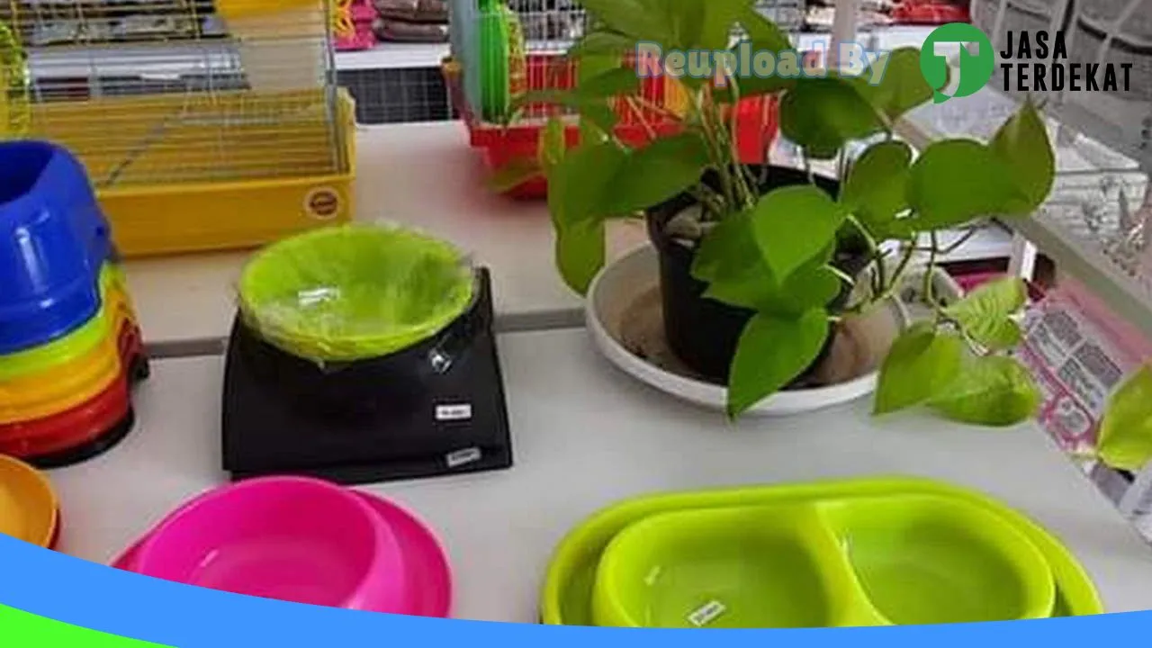 Gambar Gulden Petshop di Buton, Sulawesi Tenggara ke 1