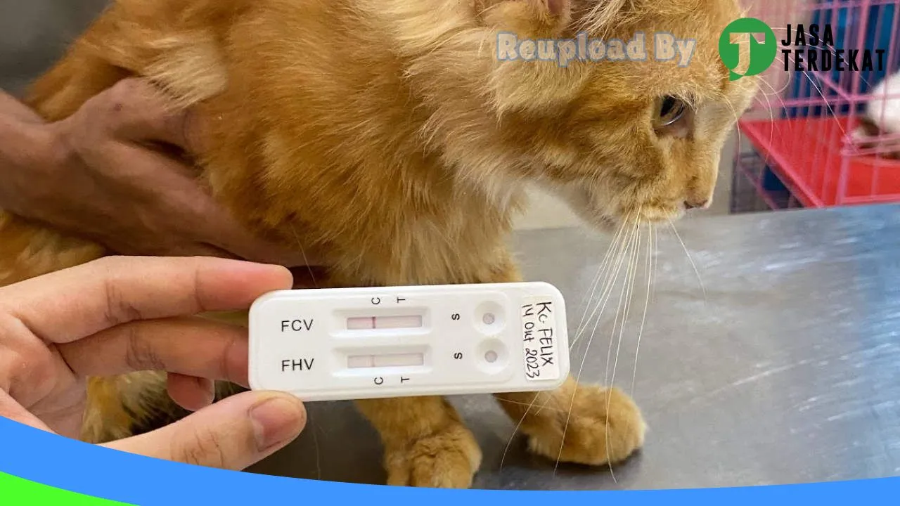 Gambar ANTARES SATWA CARE (Klinik Dokter Hewan, Grooming, Petshop, Pet Hotel Purwokerto) di Banyumas, Jawa Tengah ke 3