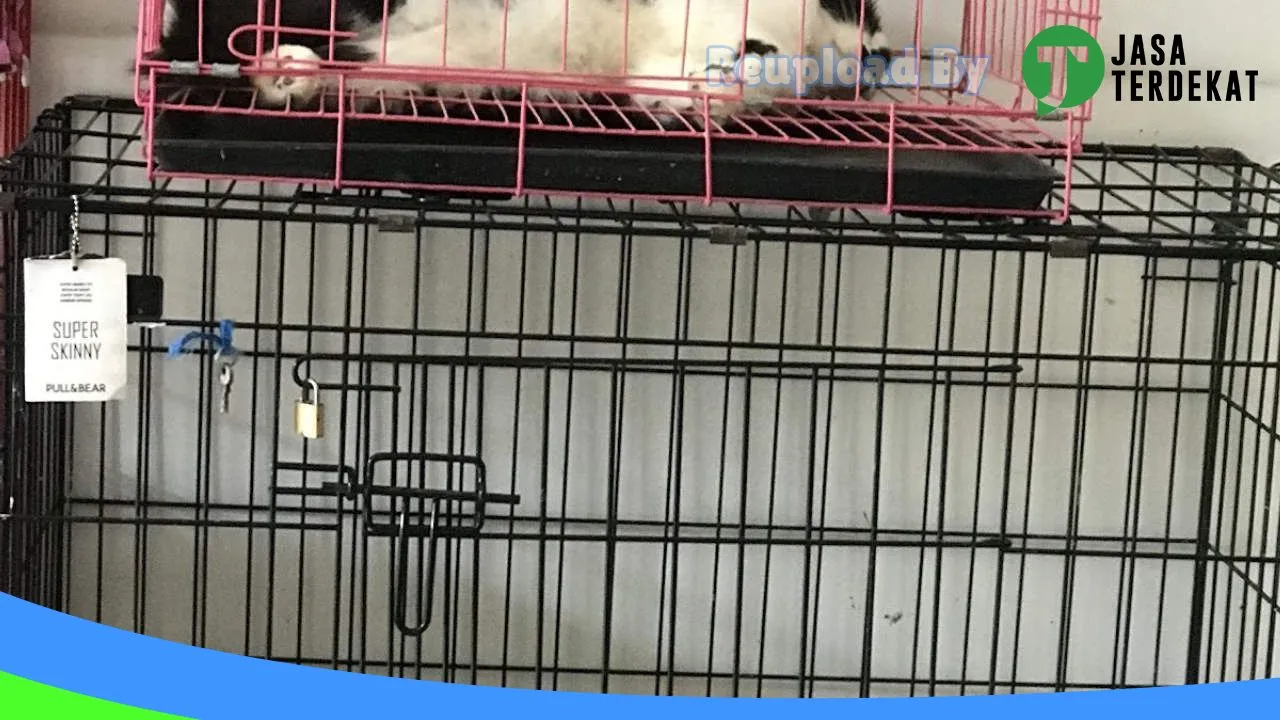 Gambar PUTRI PETSHOP di Aceh Besar, Aceh ke 2