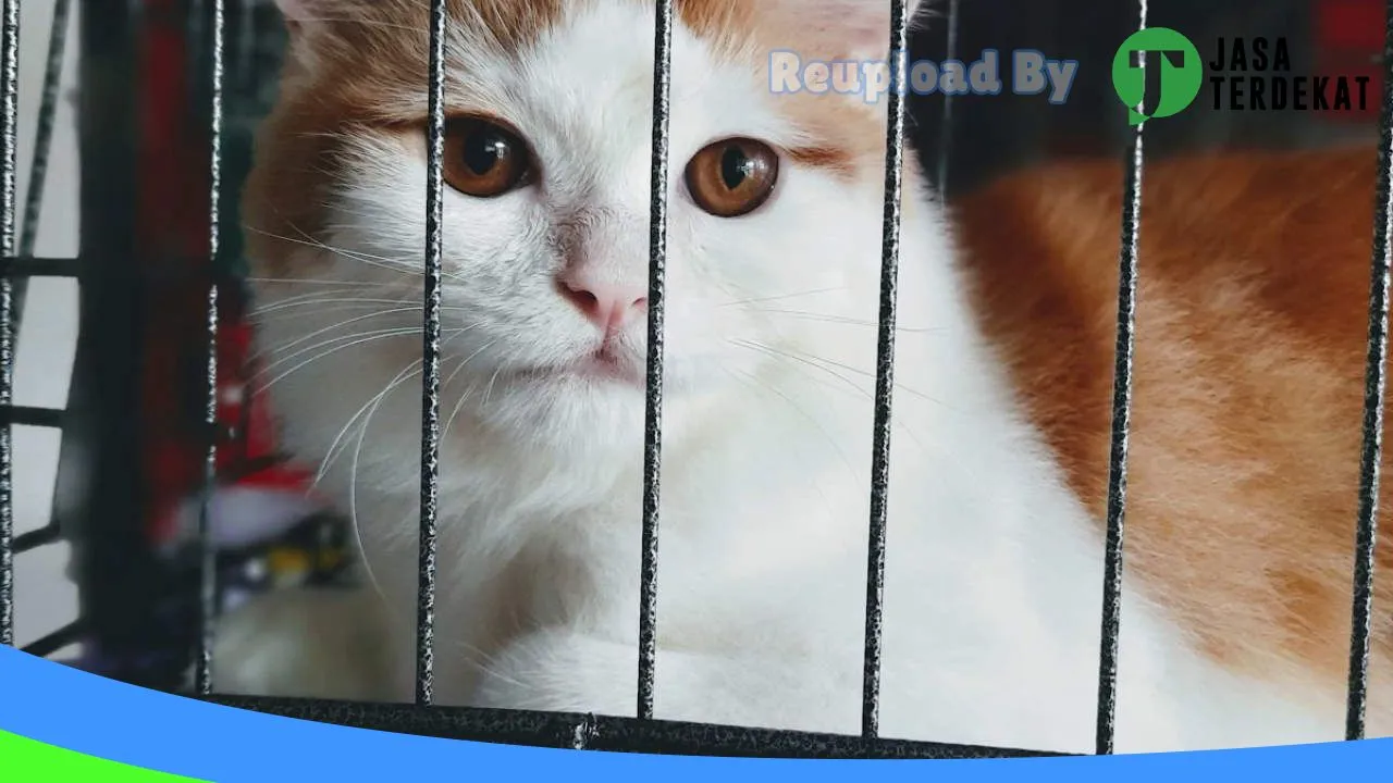 Gambar Rumah Satwa – Pet Shop & Clinic drh. Rahma Yetni di Tanah Datar, Sumatera Barat ke 5