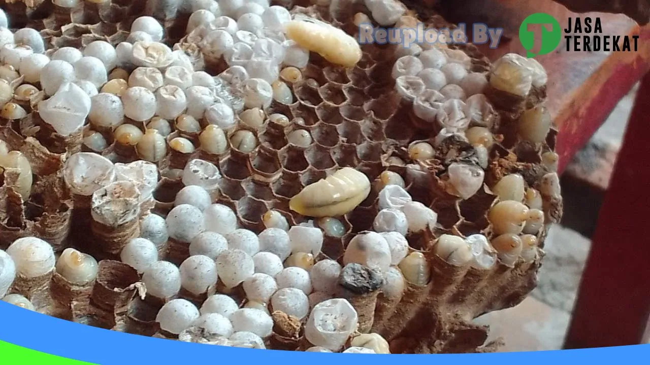 Gambar UD.SILALAHI PAKAN TERNAK di Dairi, Sumatera Utara ke 3