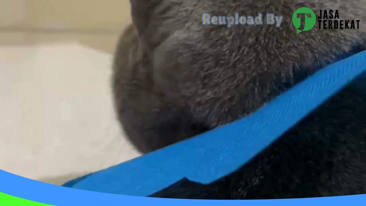 Gambar Keen Pet Care | Praktek Dokter Hewan Solo Karanganyar di Karanganyar, Jawa Tengah ke 1