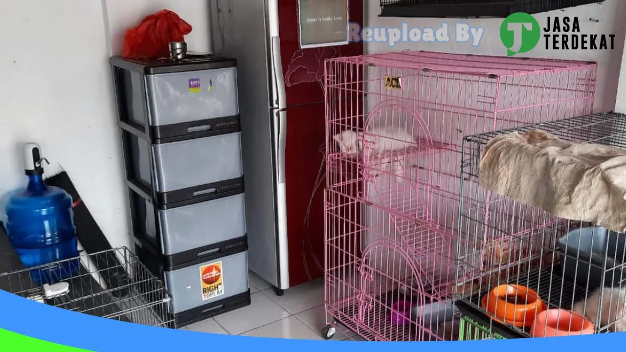 Gambar 86 Pet store di Aceh Barat, Aceh ke 4