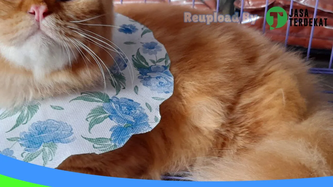 Gambar Vet Petshop & Care Masamba di Luwu Timur, Sulawesi Selatan ke 1