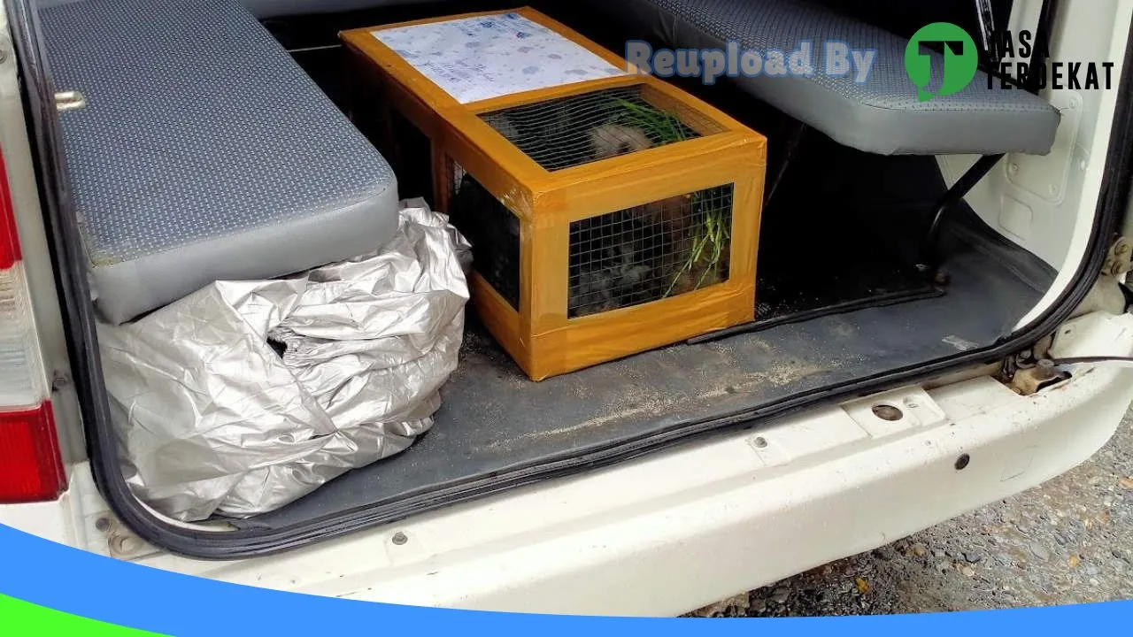 Gambar Kandang Peternakan Kelinci di Batu Bara, Sumatera Utara ke 5