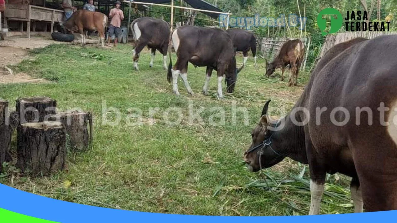 Gambar Qurban Barokah Gorontalo di Bone Bolango, Gorontalo ke 3