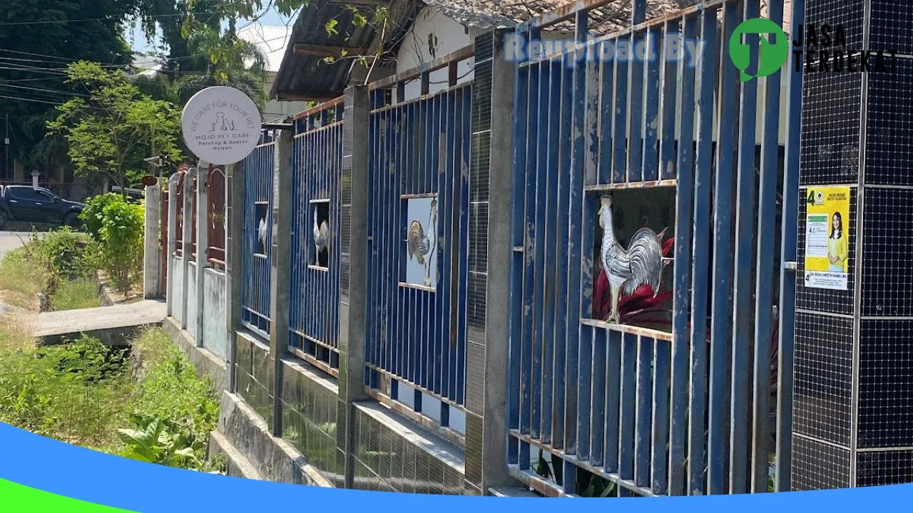 Gambar Mojo Pet Care & Pet Shop – Dokter Hewan Waingapu di Sumba Timur, Nusa Tenggara Timur ke 3