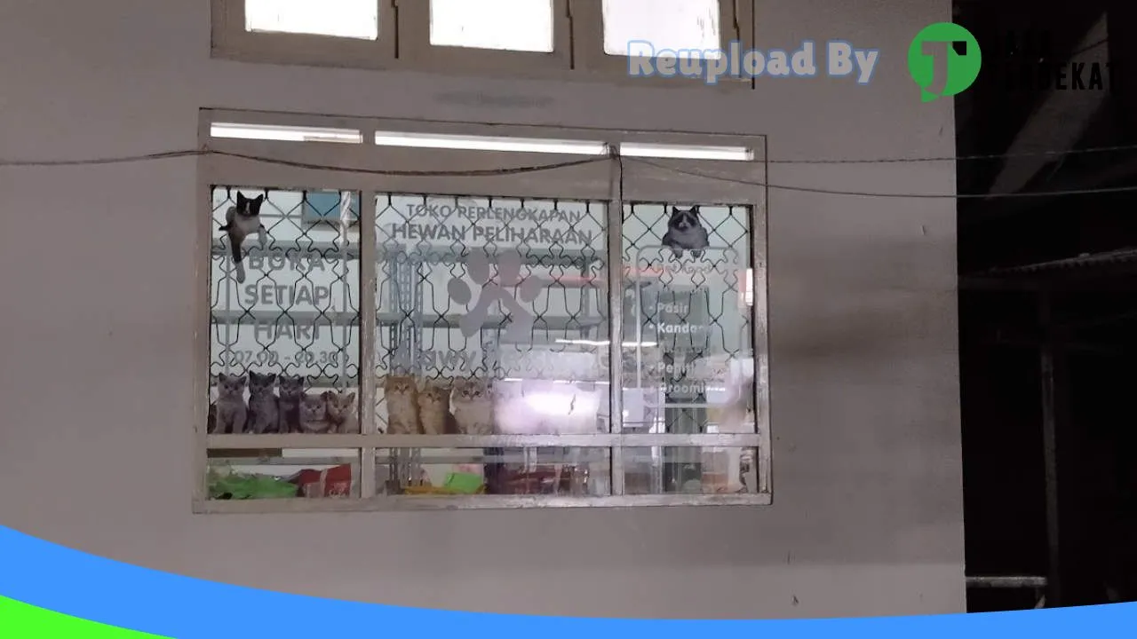 Gambar Alawy Petshop di Karanganyar, Jawa Tengah ke 4