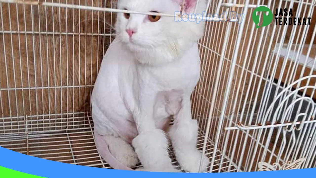 Gambar SMILE PET SHOP Denpasar di Denpasar, Bali ke 4
