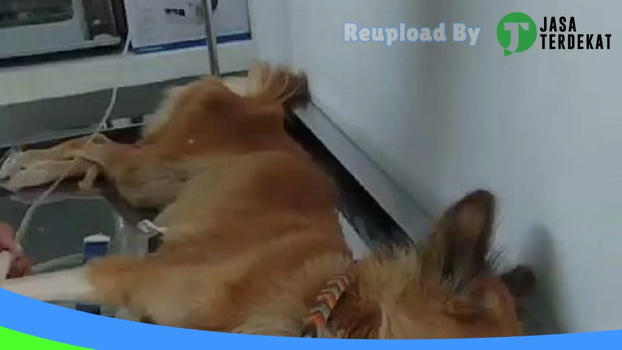 Gambar Along Petshop And Care Labuan Bajo di Manggarai, Nusa Tenggara Timur ke 1