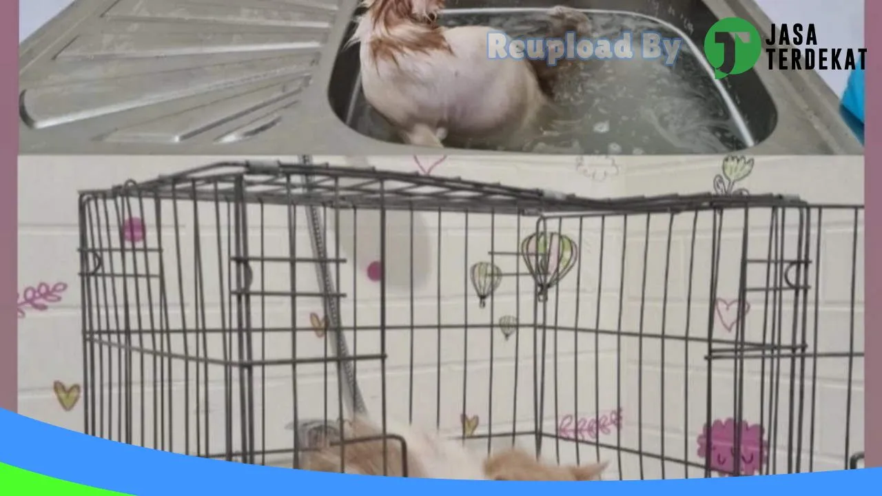 Gambar Kitty House Petshop di Lombok Barat, Nusa Tenggara Barat ke 3