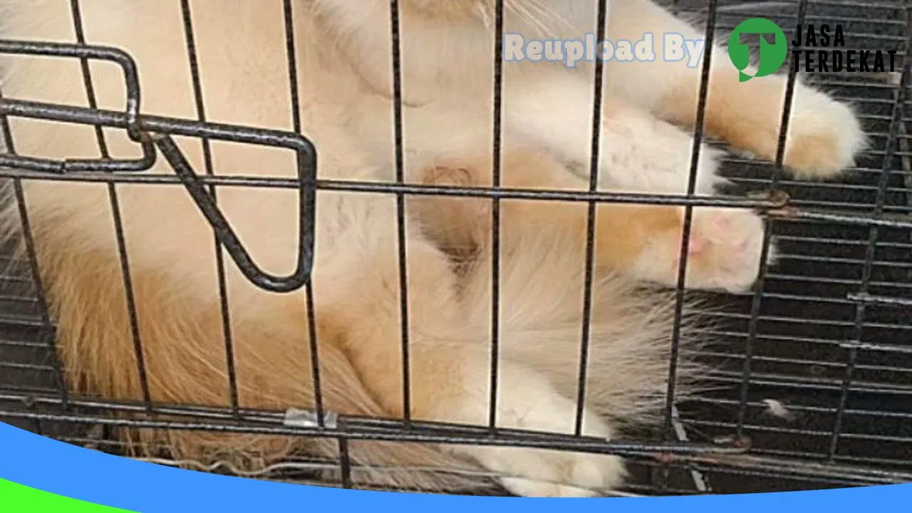 Gambar M.Petshop Pallangga di Gowa, Sulawesi Selatan ke 3