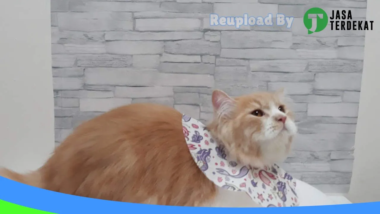 Gambar Petshop & Clinic Royal Petcare Kota Banda Aceh di Aceh Utara, Aceh ke 2