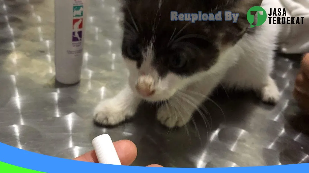 Gambar Paws & Purrs Pet Care Samarinda di Samarinda, Kalimantan Timur ke 2