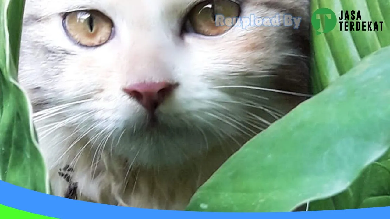 Gambar R K Pet shop di Cianjur, Jawa Barat ke 2