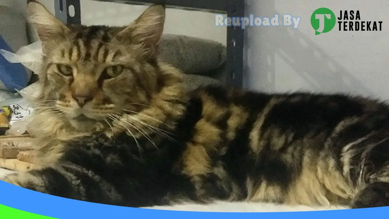 Gambar Gilang Petshop di Banjarnegara, Jawa Tengah ke 1