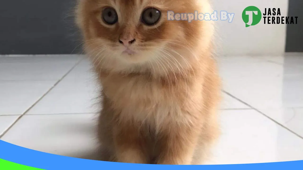 Gambar Sumber Jaya Petshop di Lombok Barat, Nusa Tenggara Barat ke 2