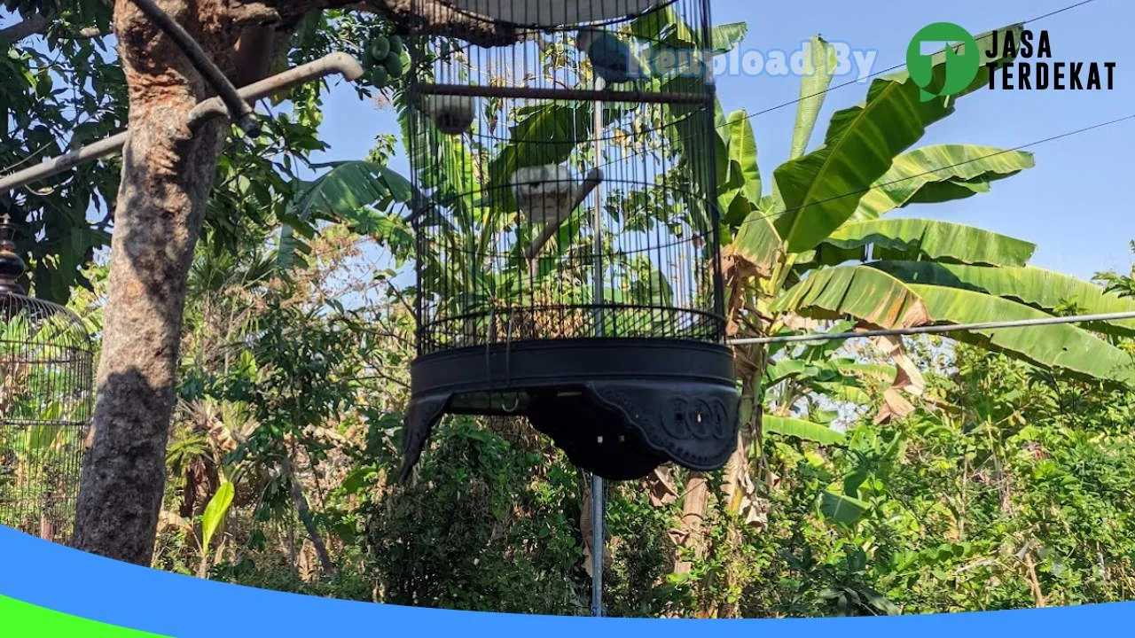 Gambar DAHLIA BIRD FARM di Ngawi, Jawa Timur ke 2