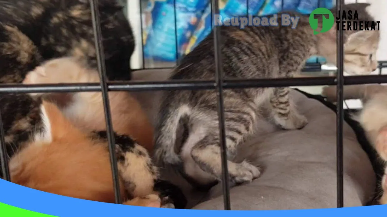 Gambar GUMANTI PET SHOP di Bengkulu Selatan, Bengkulu ke 3