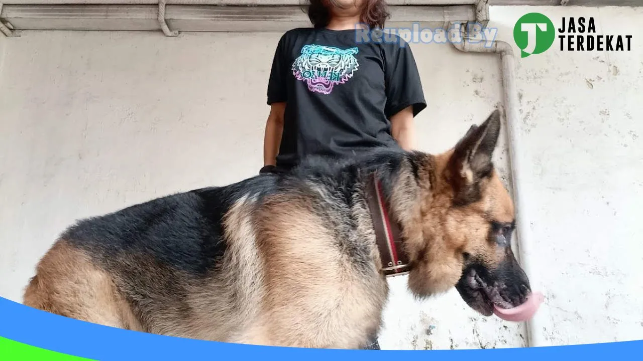 Gambar Alona Pet Shop di Medan, Sumatera Utara ke 3
