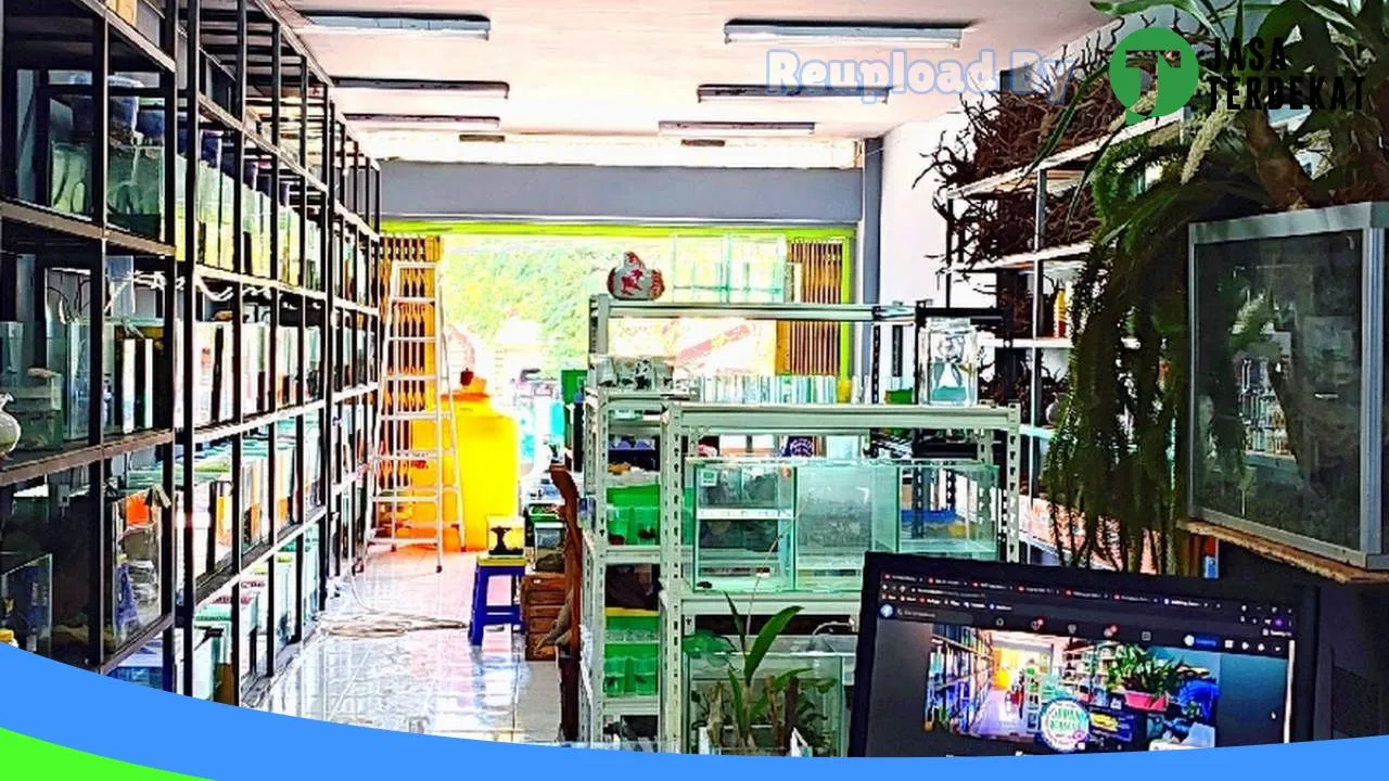 Gambar koe scape (koepang aquascape) di Kupang, Nusa Tenggara Timur ke 2