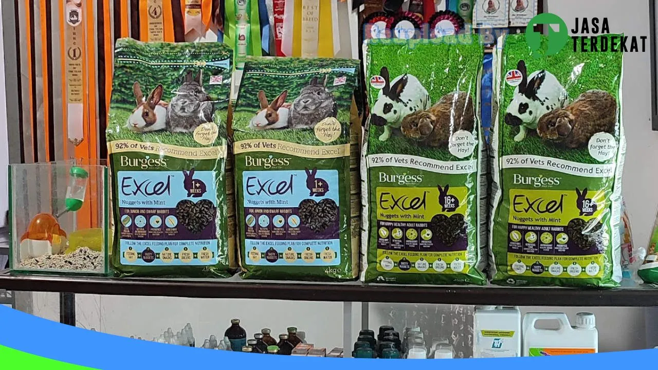 Gambar Hunny Bunny di Bandar Lampung, Lampung ke 2