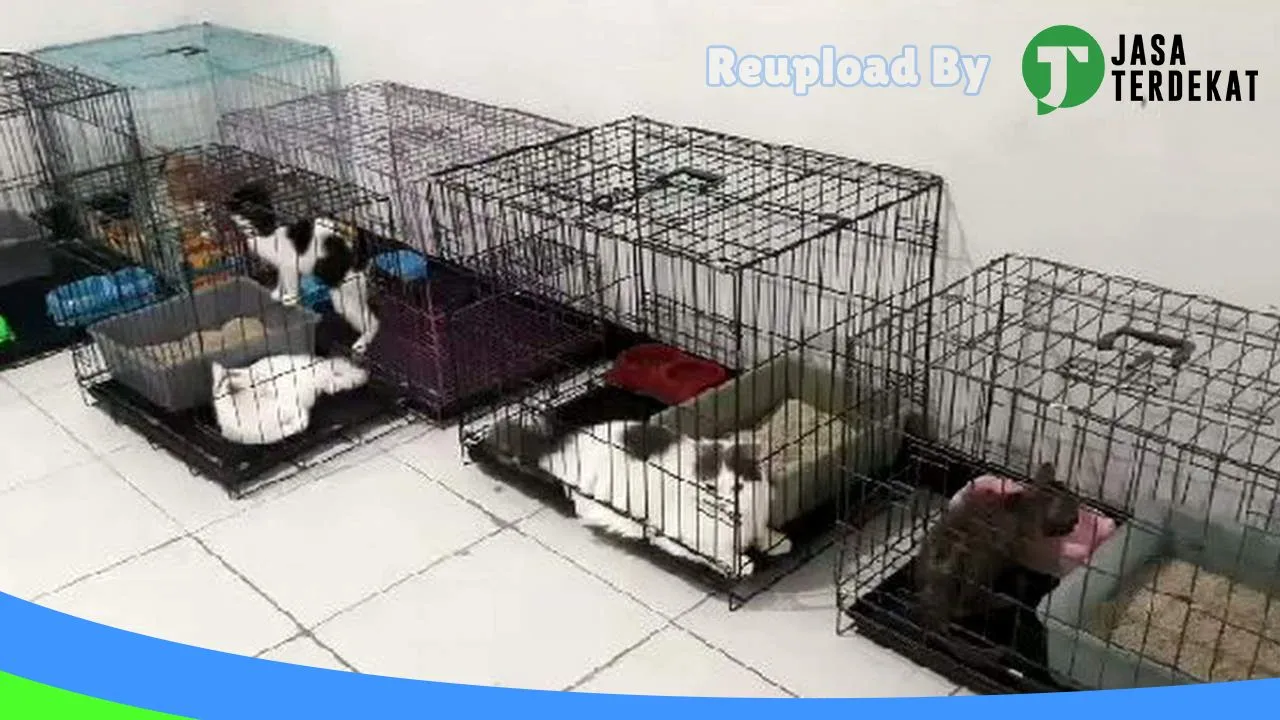 Gambar Monte Petshop Garum, Cat Hotel & Grooming Kucing di Kota Blitar, Jawa Timur ke 1