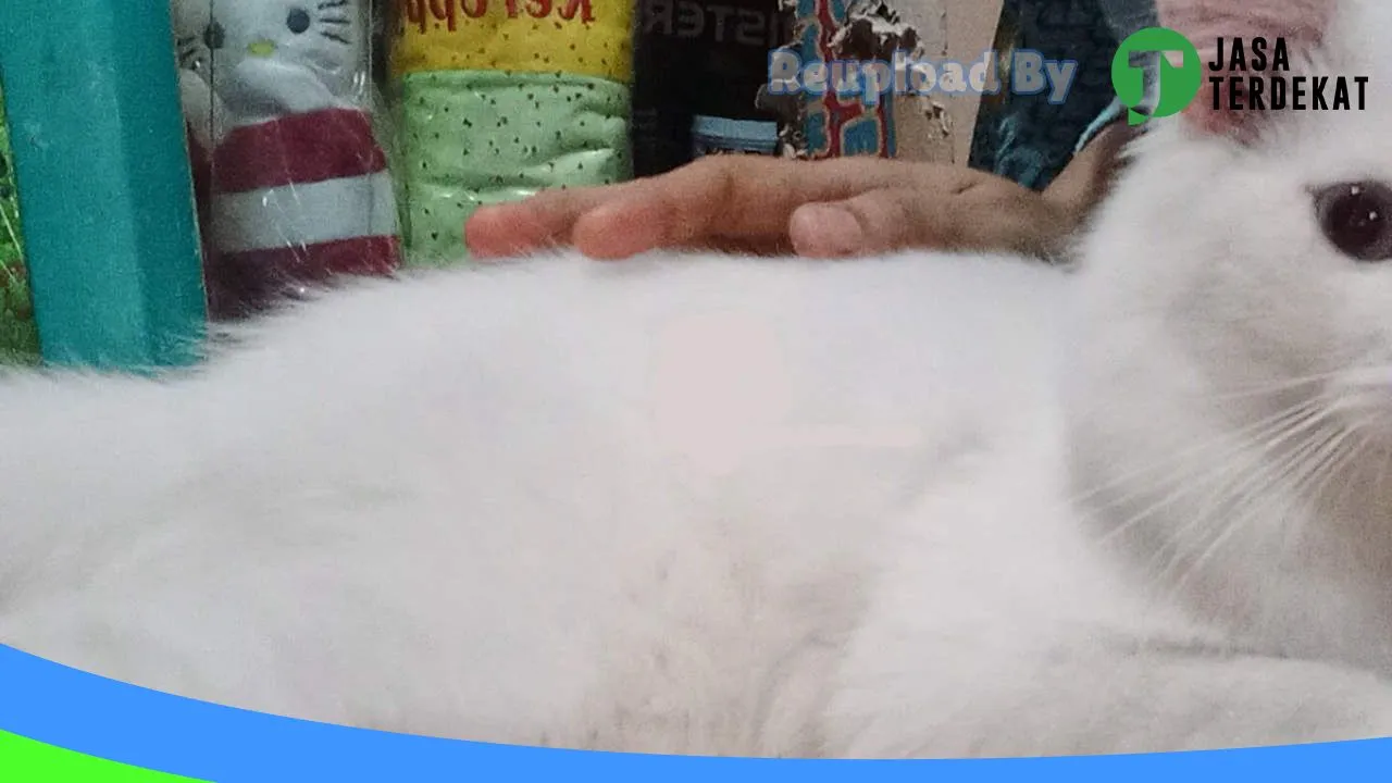 Gambar SHAYLA CATSHOP di Aceh Tenggara, Aceh ke 3