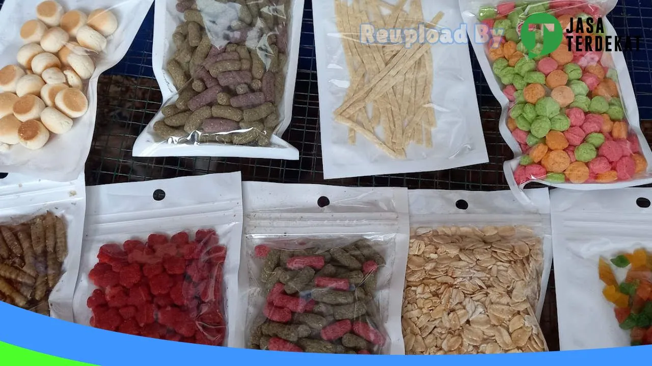 Gambar HAMSTER PLG di Palembang, Sumatera Selatan ke 4