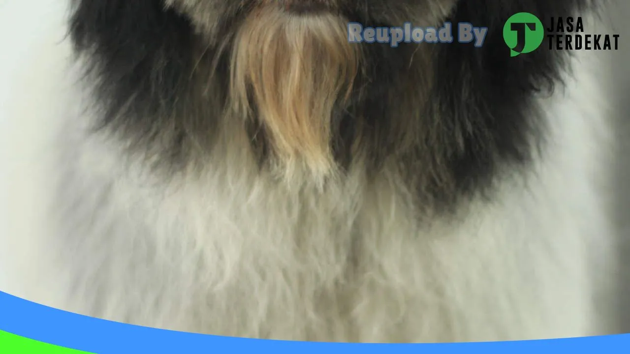 Gambar Joy Petshop Timika di Tolikara, Papua ke 2