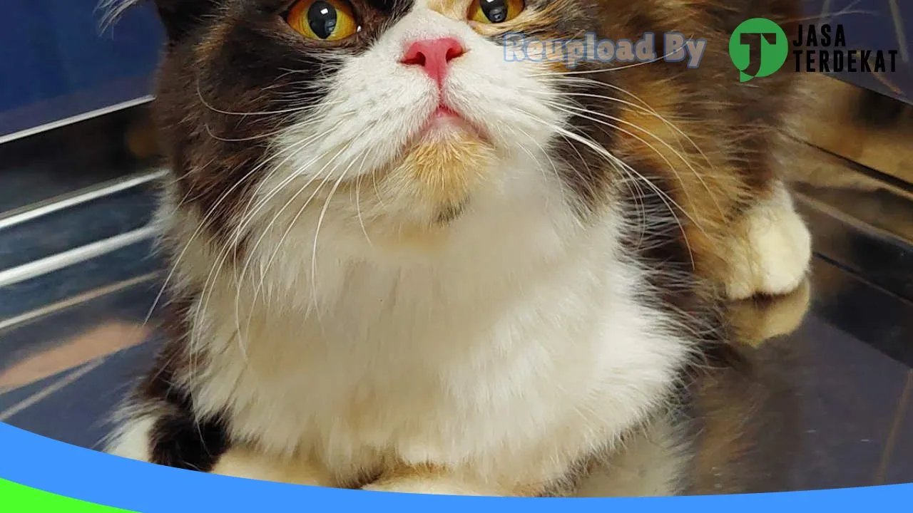 Gambar Gia PetCare – Praktek Dokter Hewan, PetShop, Grooming dan Penitipan Hewan Kota Pacitan di Pacitan, Jawa Timur ke 4