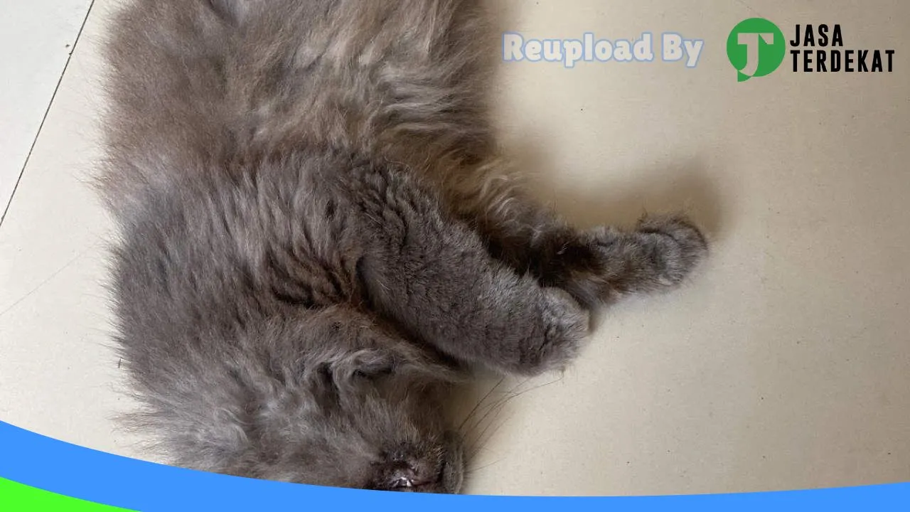 Gambar Klaviera Pet Shop di Purwakarta, Jawa Barat ke 1