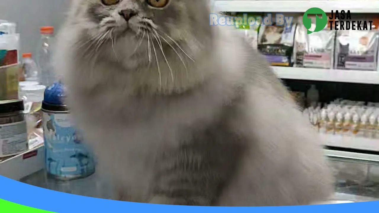 Gambar Diby Petshop And Grooming di Kulon Progo, DI Yogyakarta ke 1