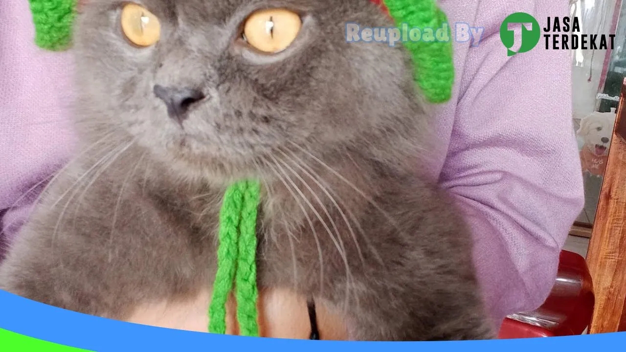 Gambar ISTANA SATWA (Pet Hotel, Pet Salon, Pet Shop) di Bengkulu Tengah, Bengkulu ke 1