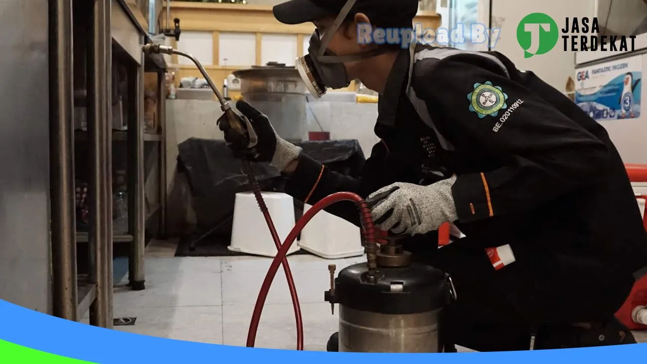 Gambar SNC Pest Control (Fogging Nyamuk, Pengendali Hama dan Anti Rayap) di Manggarai, Nusa Tenggara Timur ke 4