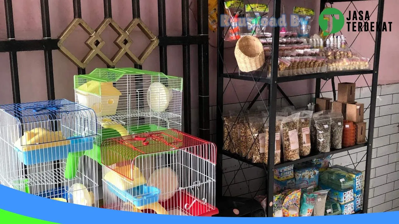 Gambar hamster jayapura di Jayapura, Papua ke 1