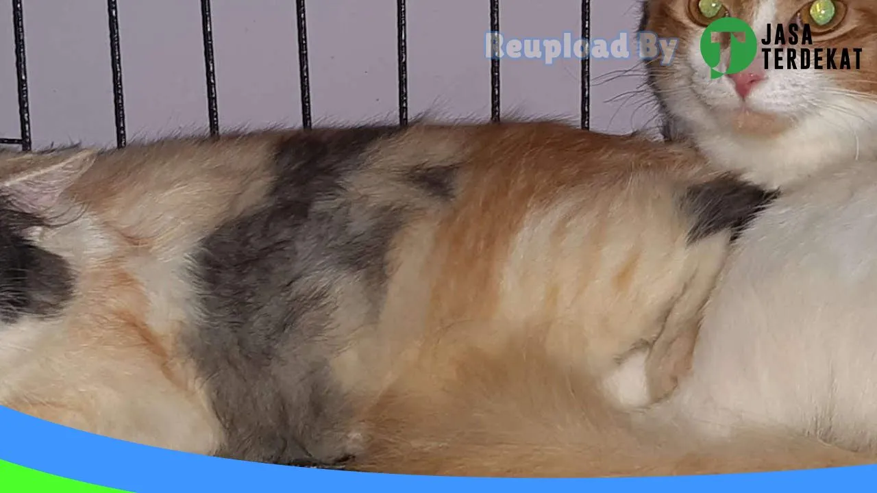 Gambar Tarubudaya Petcare (Praktik Dokter Hewan) di Sragen, Jawa Tengah ke 2