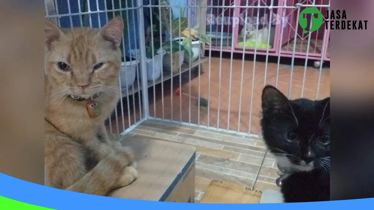 Gambar Mega Petshop di Muaro Jambi, Jambi ke 2