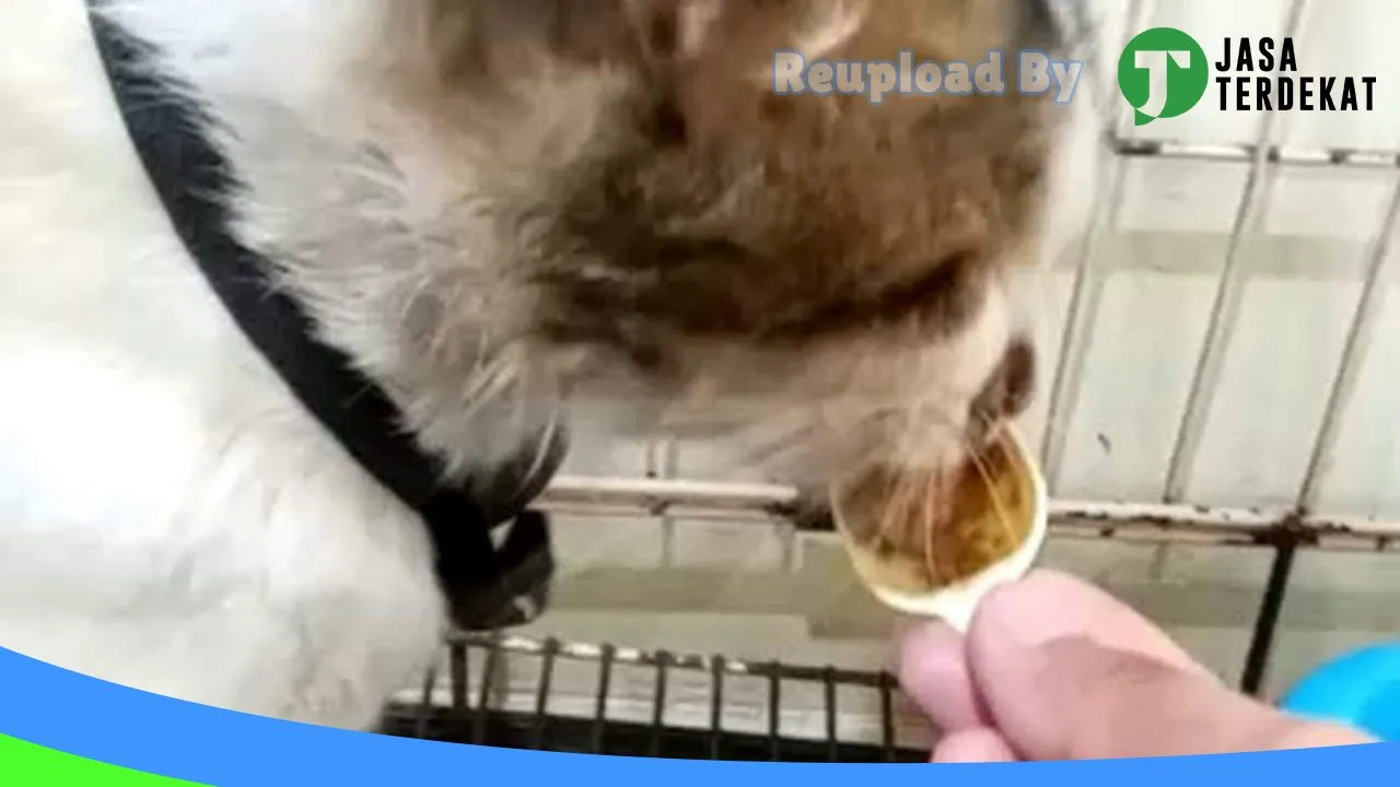 Gambar Klinik hewan dan PETSHOP Taraya Griya Satwa di Tegal, Jawa Tengah ke 1