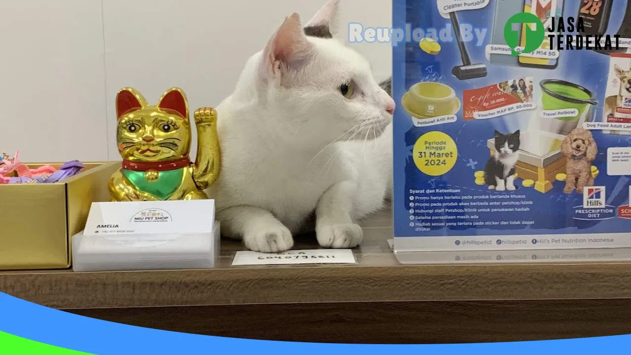 Gambar Miu Petshop Klaten (mpsklaten) di Klaten, Jawa Tengah ke 4