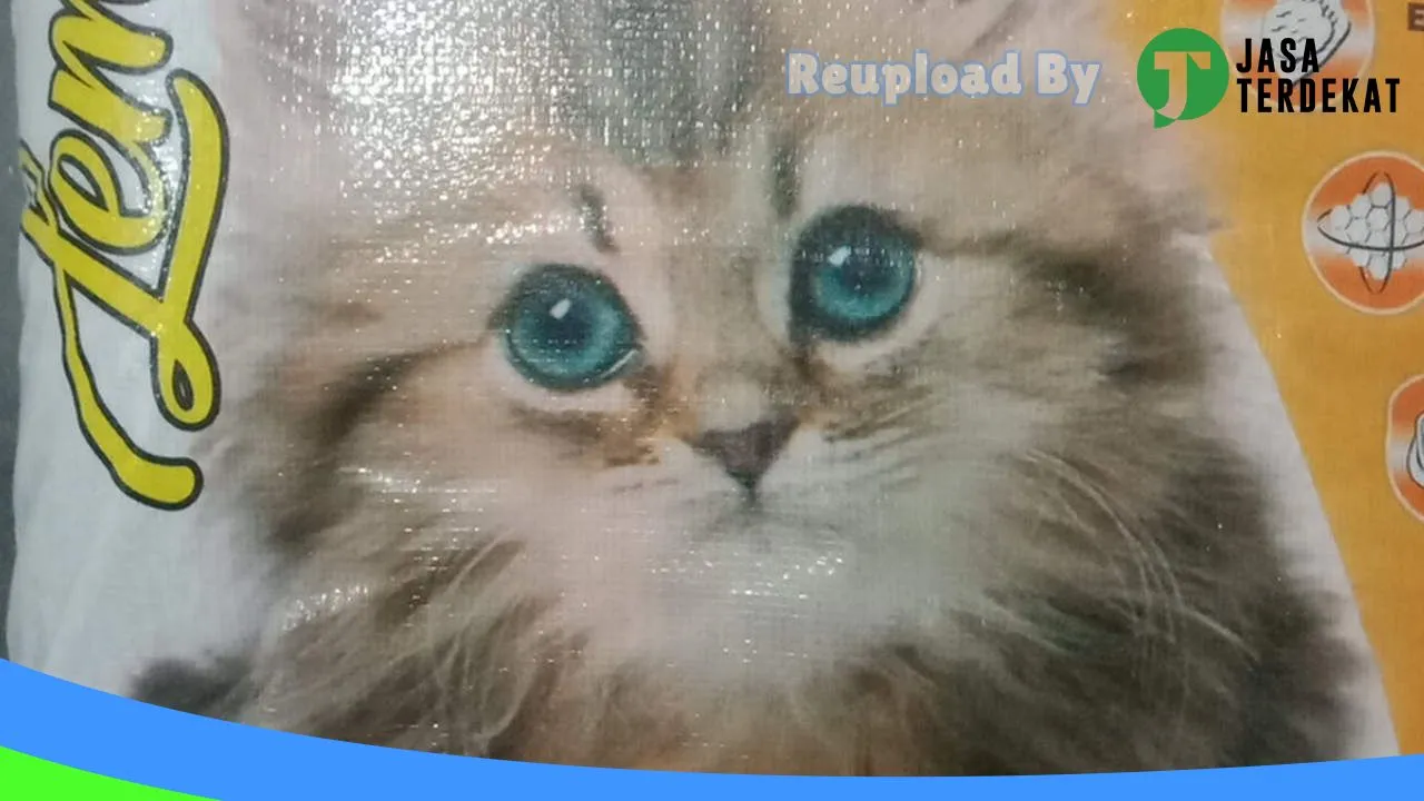 Gambar Dinonky Cat Shop ( Petshop Dinonky) di Kota Bandung, Jawa Barat ke 2