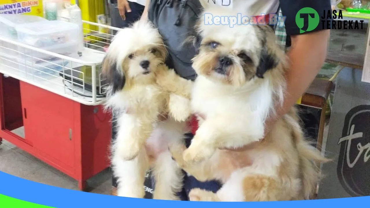 Gambar The Pet Banjarnegara di Banjarnegara, Jawa Tengah ke 5